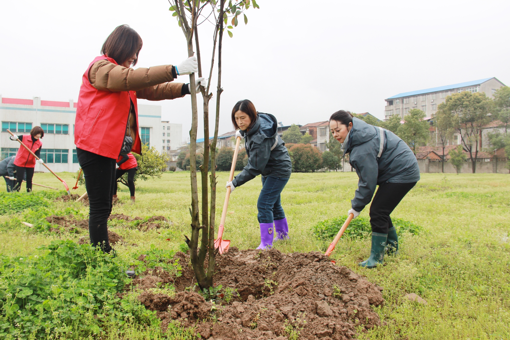 �������ǲ�(�й���)�ٷ���վ