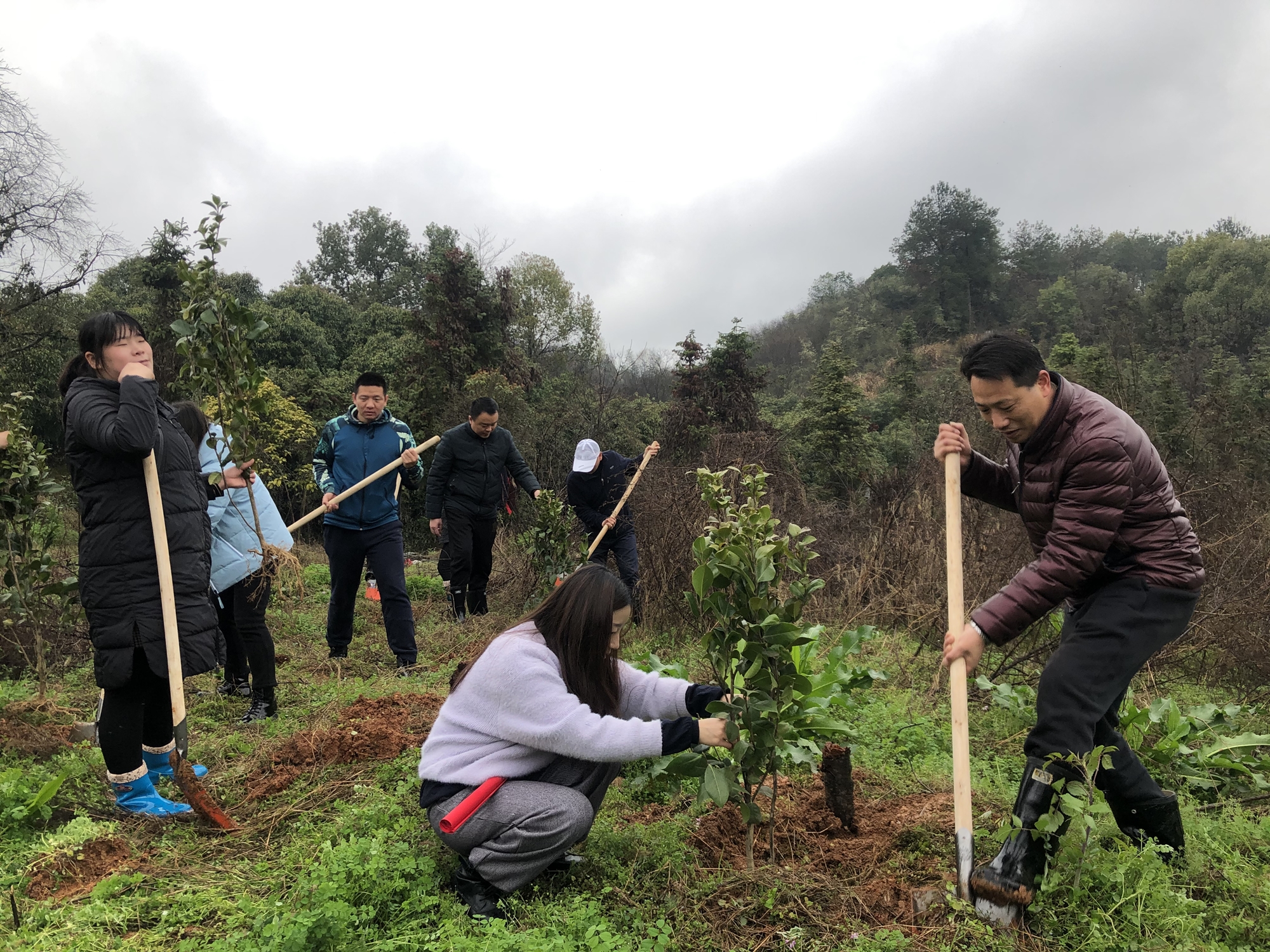 �������ǲ�(�й���)�ٷ���վ