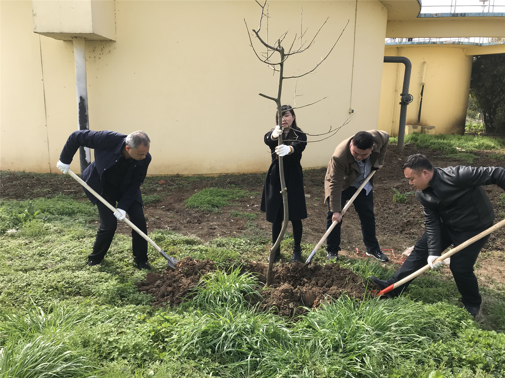 �������ǲ�(�й���)�ٷ���վ