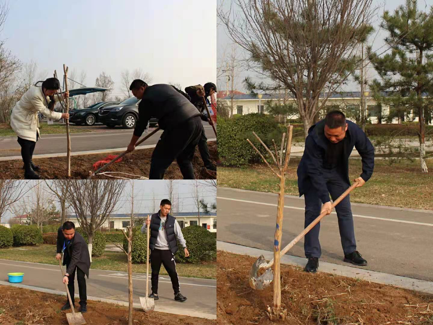 �������ǲ�(�й���)�ٷ���վ