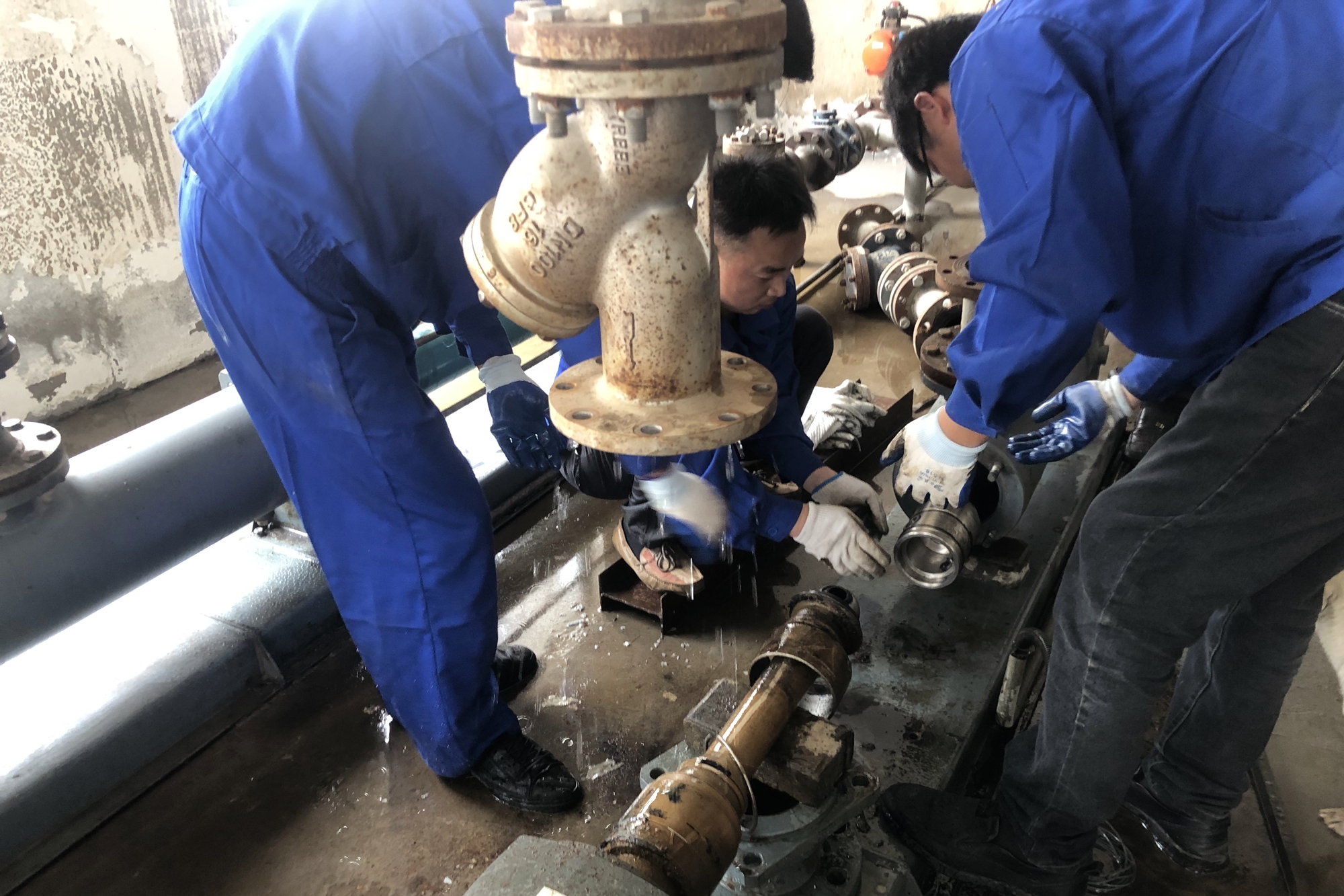 �������ǲ�(�й���)�ٷ���վ