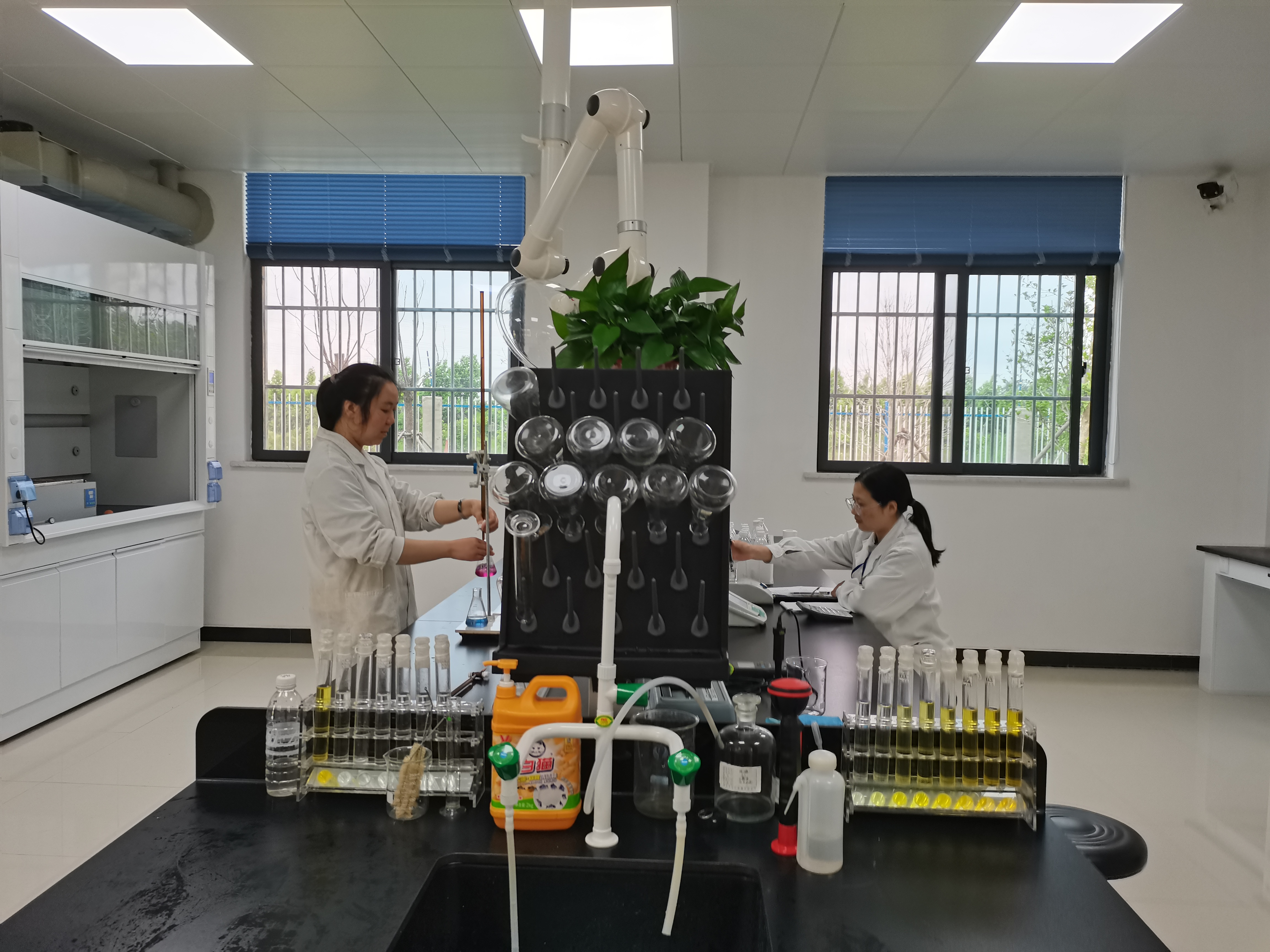 �������ǲ�(�й���)�ٷ���վ