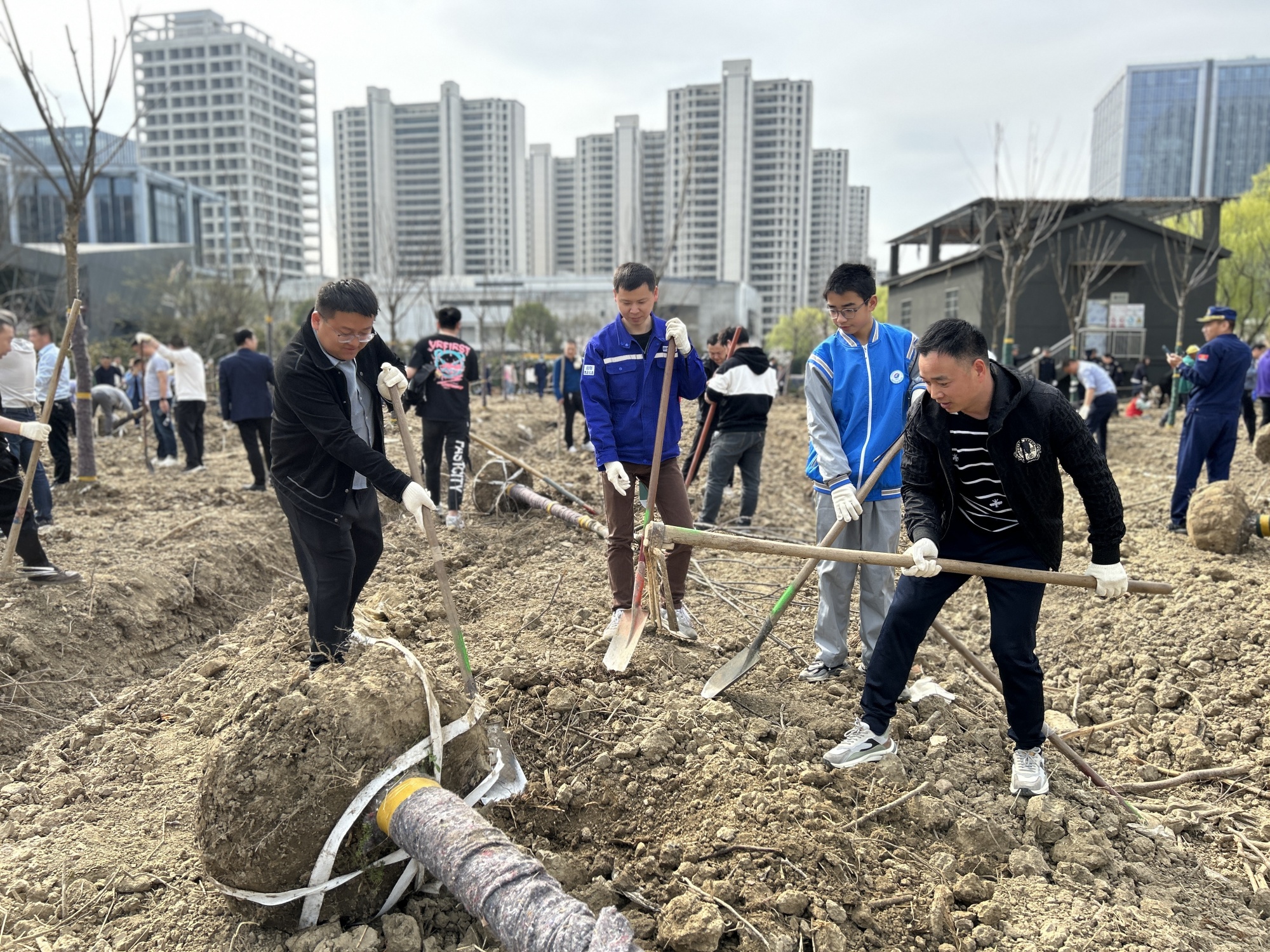 �������ǲ�(�й���)�ٷ���վ