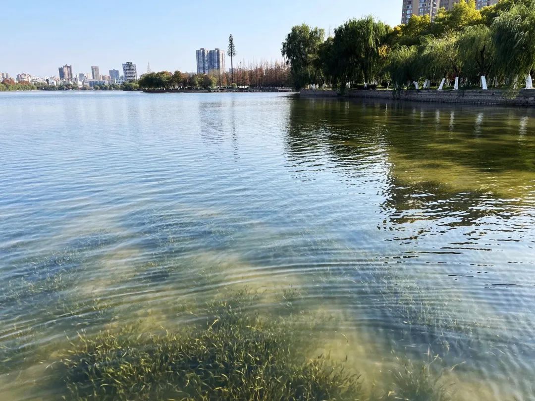 �������ǲ�(�й���)�ٷ���վ