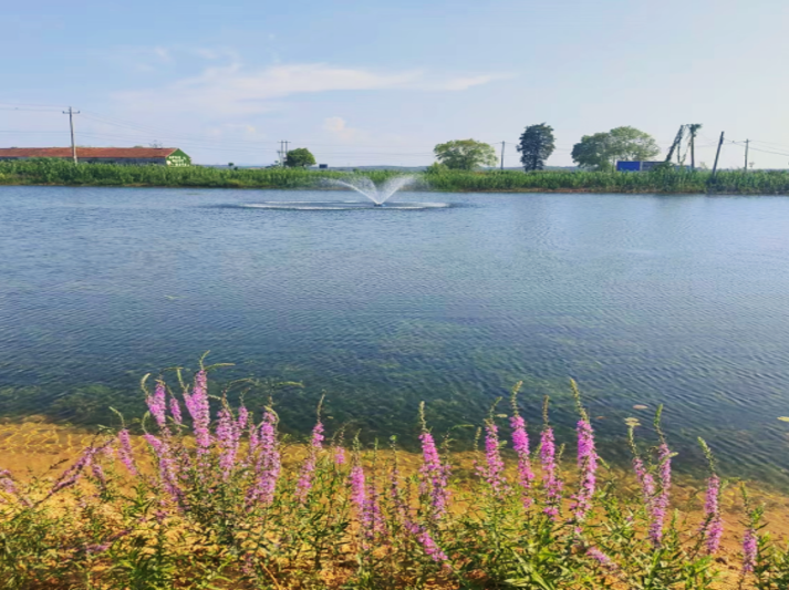 �������ǲ�(�й���)�ٷ���վ