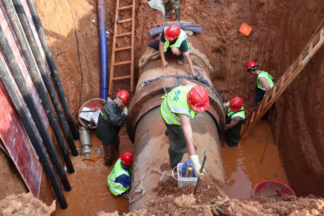 �������ǲ�(�й���)�ٷ���վ