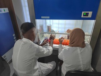 �������ǲ�(�й���)�ٷ���վ