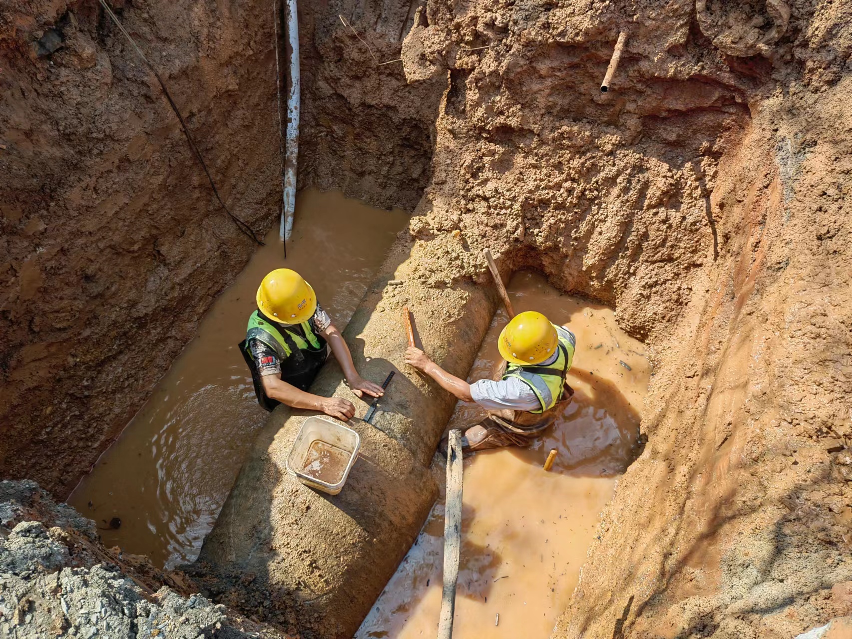 �������ǲ�(�й���)�ٷ���վ