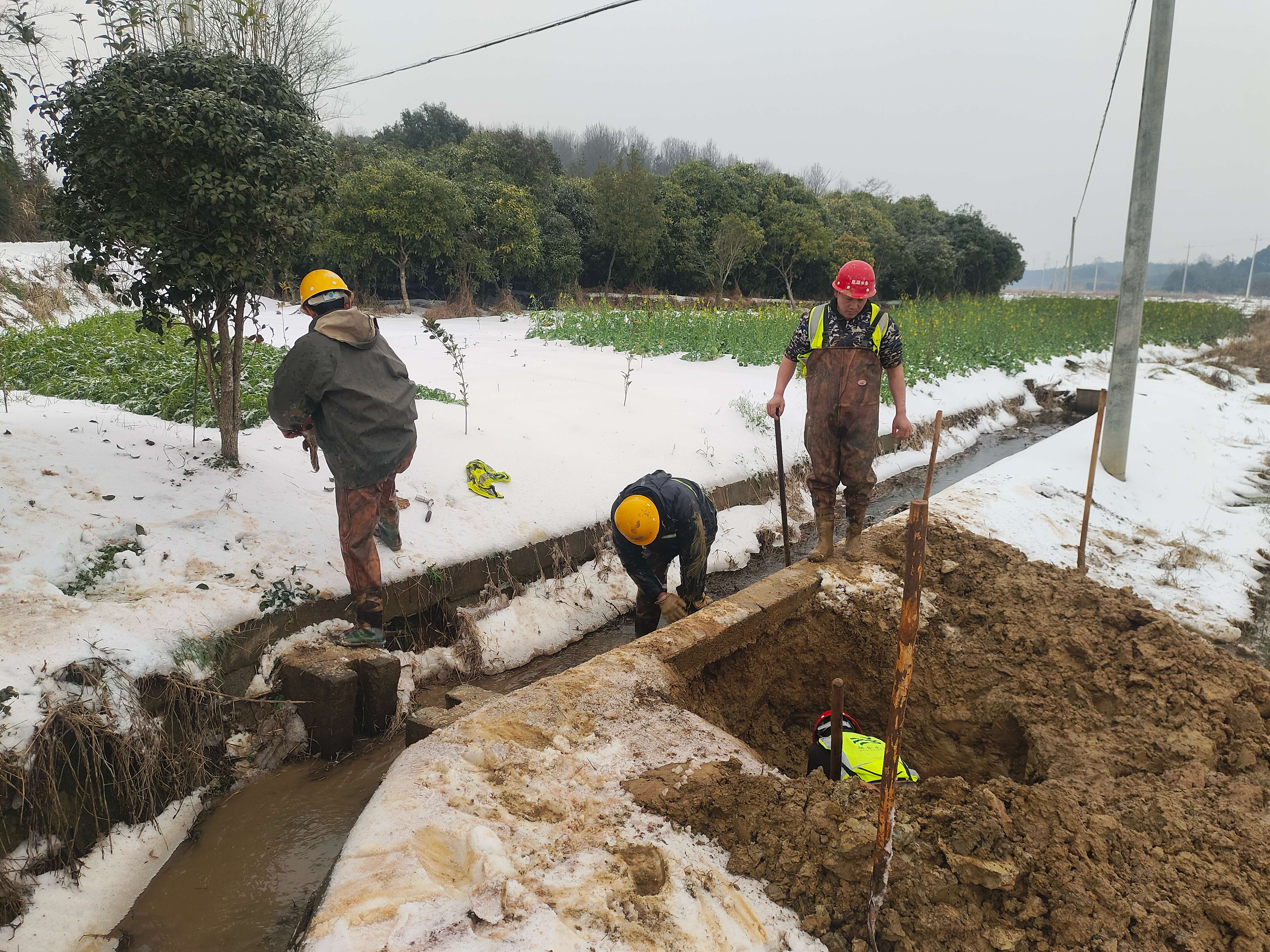 �������ǲ�(�й���)�ٷ���վ