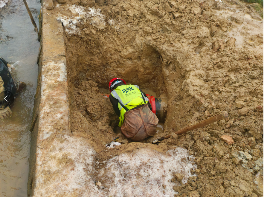 �������ǲ�(�й���)�ٷ���վ