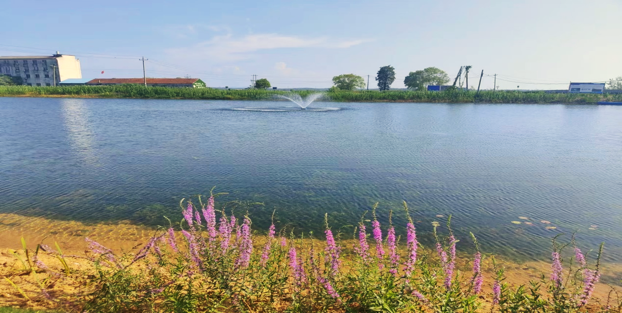 �������ǲ�(�й���)�ٷ���վ