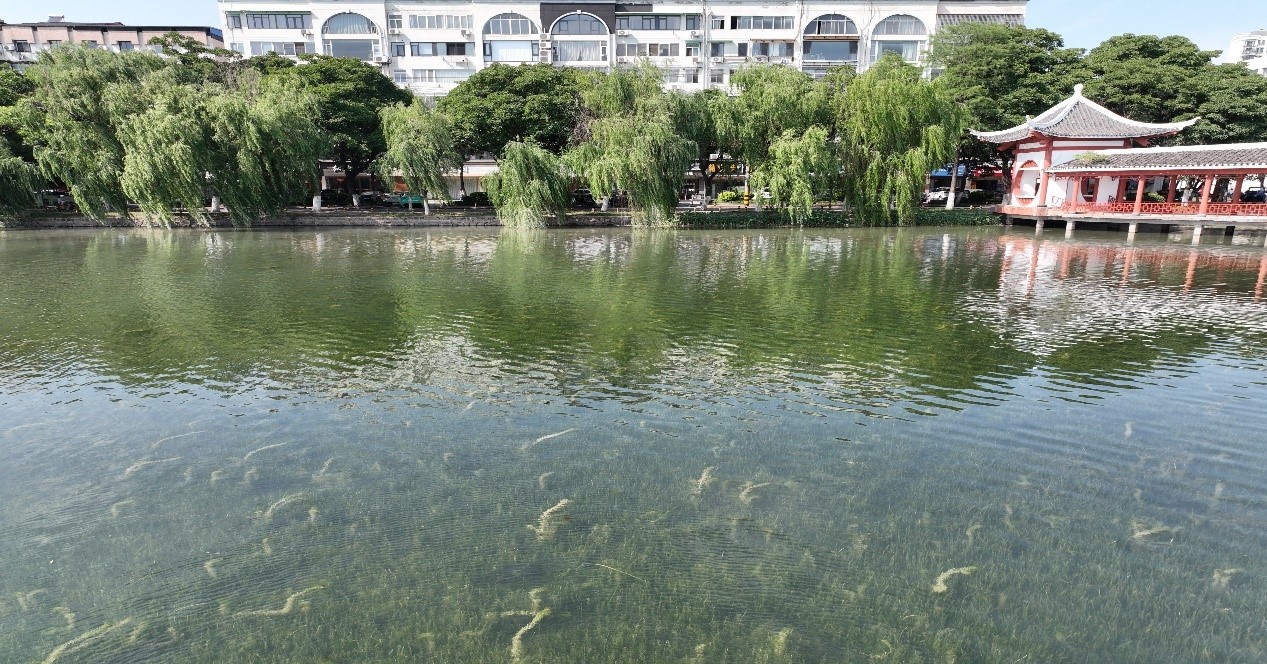 �������ǲ�(�й���)�ٷ���վ