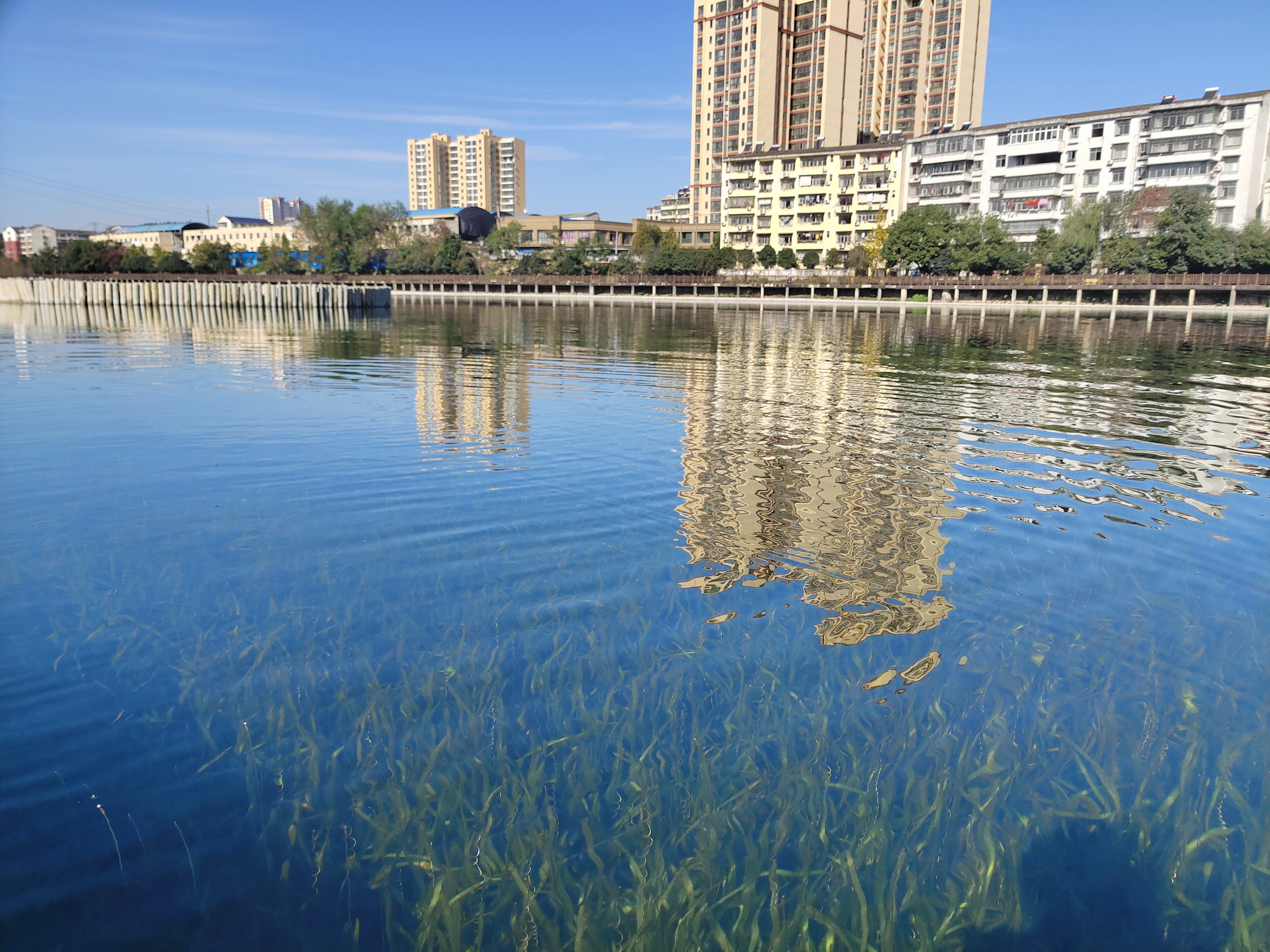 �������ǲ�(�й���)�ٷ���վ