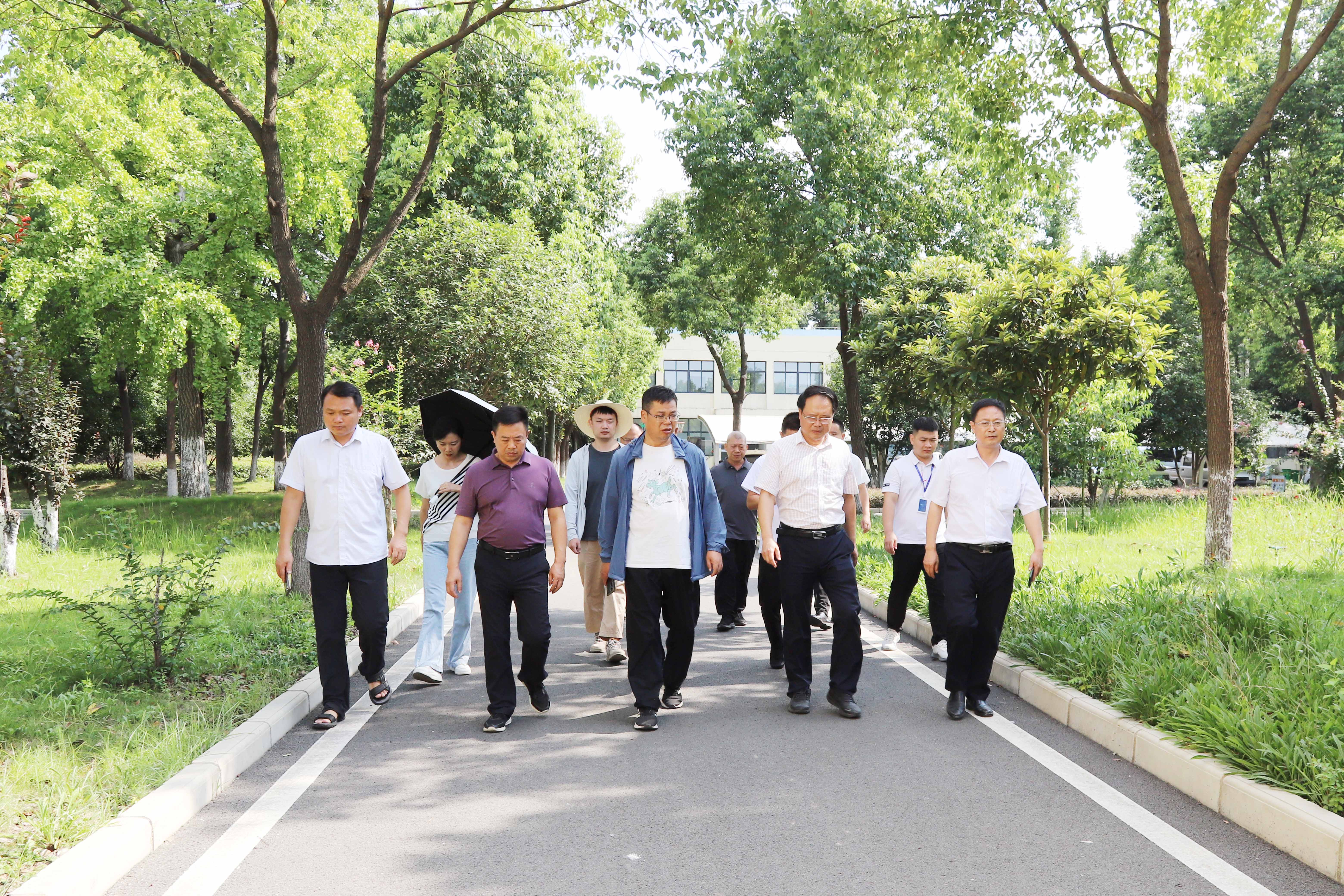 �������ǲ�(�й���)�ٷ���վ