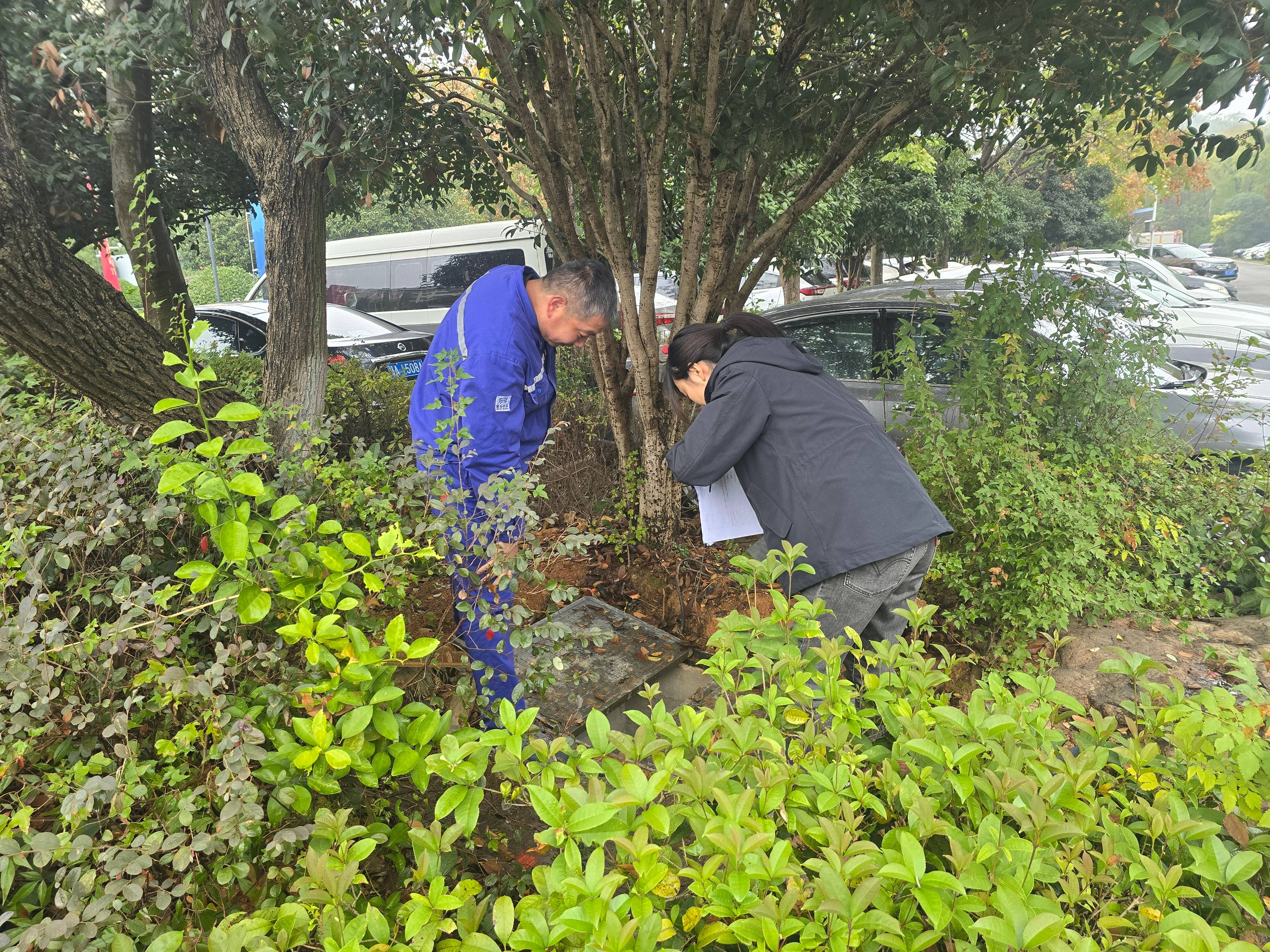 �������ǲ�(�й���)�ٷ���վ