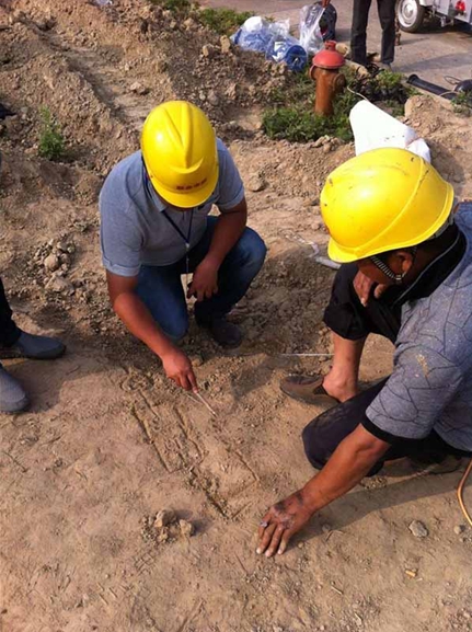 �������ǲ�(�й���)�ٷ���վ